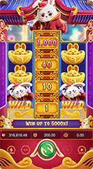 rprp · Fortune Rabbit